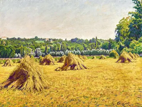 Mucchi di fieno