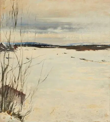 Vinterlandskap