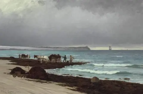 Männer sammeln Algen am Hornb K Beach 1882