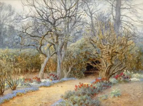 Woodland Path Lined With Pansies And Campanula S.d.