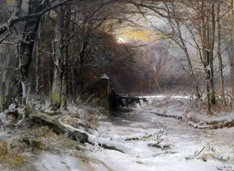 Winter in Het Haagse Bos