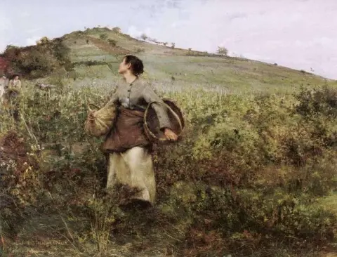 ويعرف أيضا باسم حصاد العنب