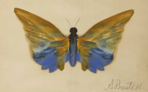 Mariposa Hacia 1890