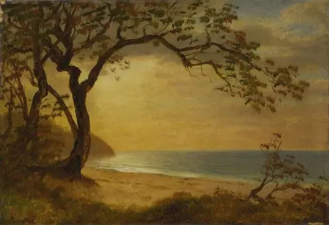 Costa de California