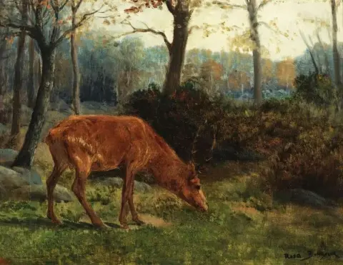 A Deer Grazing