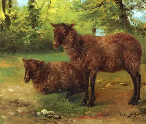 A Pair Of Black Sheep