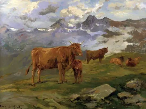 Storfe i Pyreneene 1900