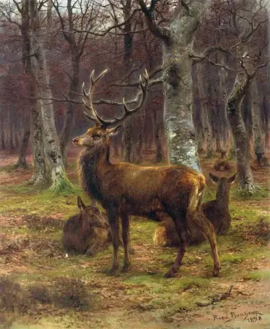 Hjort og gjør i skogen høsten 1878