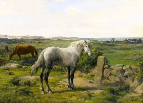 Hester nær sjøen