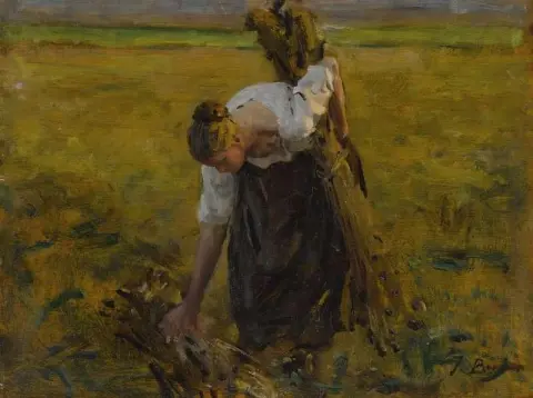 לקטנית ד'איילטס כ-1896