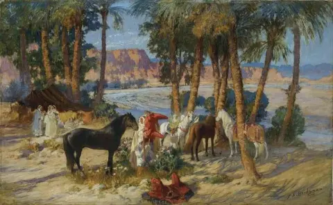 Oasis Alger