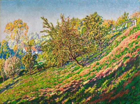 丘の中腹の木々 1910