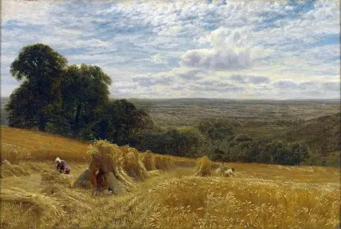 På Cornfield 1869
