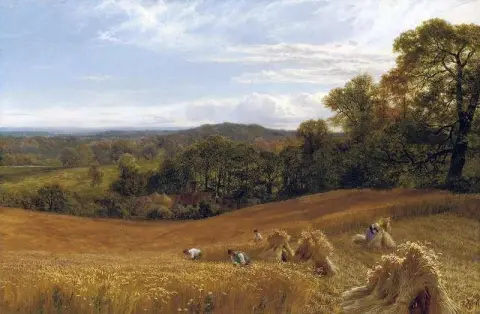 The Heart Of Surrey 1891