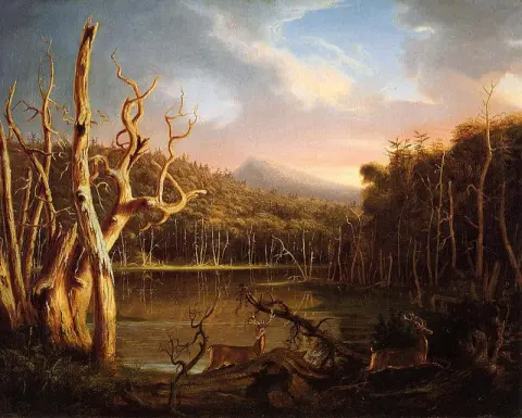 Järvi ja kuolleita puita (Catskill)