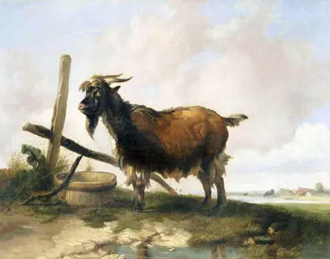 Een Billy-geit In Een Landschap