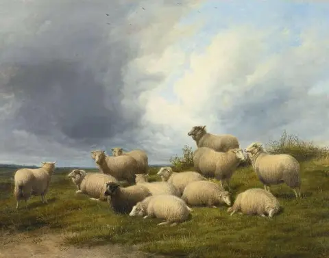 Schapen in een weiland 1889