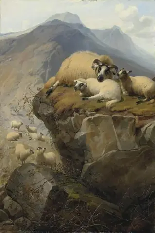 Schapen op het eiland Skye 1877
