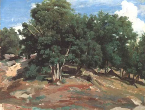 Querce nere di Fontainebleau del Bas Breau