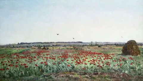 Valmuemarken 1880