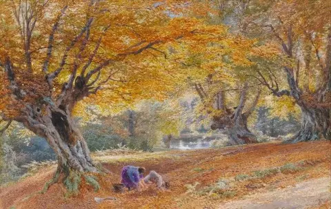 Hayas de Burnham