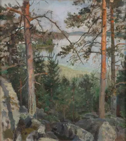 Sjöutsikt Från Berget