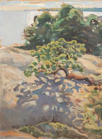 Utsikt från skärgården