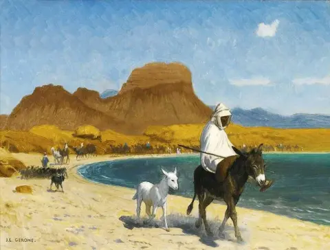 Golfde D Akana 1897