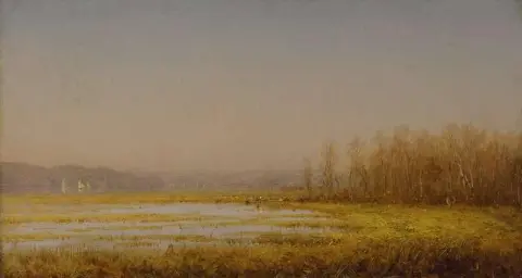 哈德逊河沼泽 1876