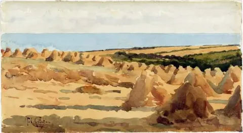 Kornåkre over Lamorna