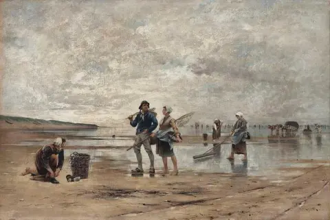 Shellfish Fishing At Low Tide Scene From Normandy