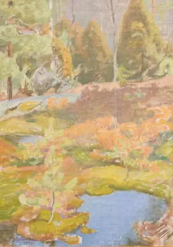 Landskap 1