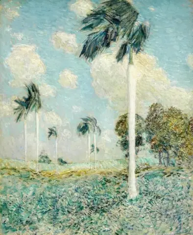 Palmas Reales Melena Cuba 1895