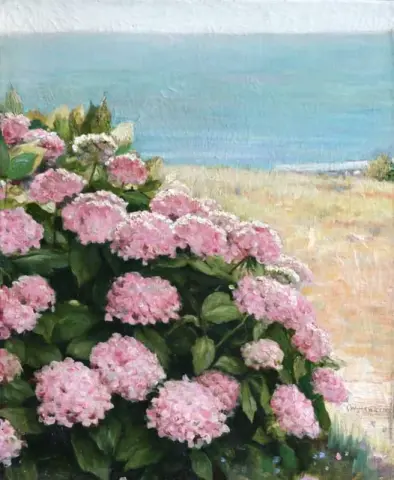 Hortensia ved kysten ca. 1890