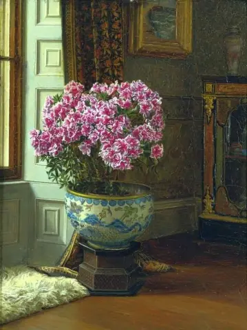 En dubbel rosa Azalea