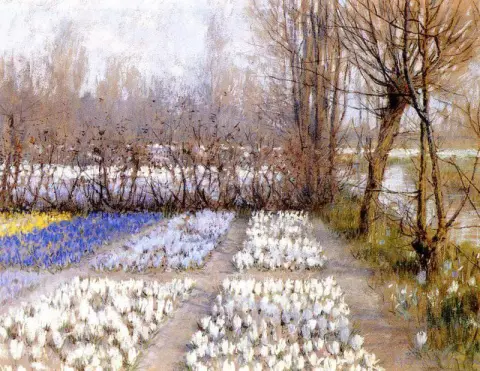 Весенние поля крокусов, ок. 1889 г.