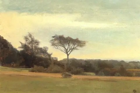 Paisaje presumiblemente de Falster