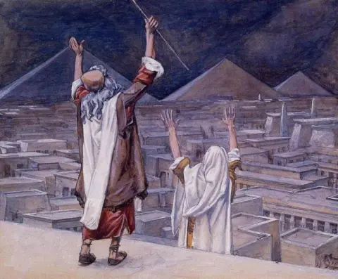 La Plaie Des Sauterelles