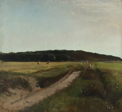 Landscape From Skagen
