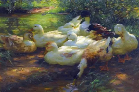 Alejandro Koester