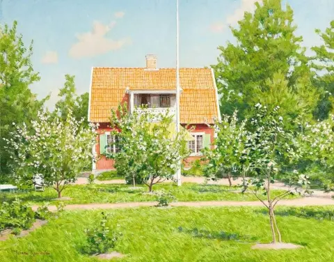Blommande körsbärsträd