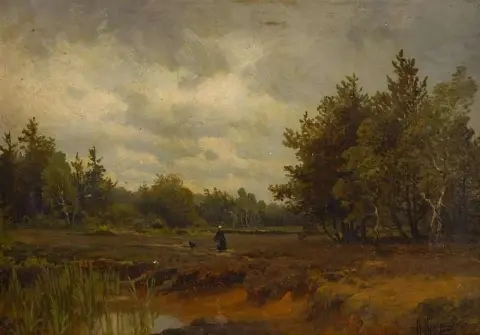 Prado en el bosque