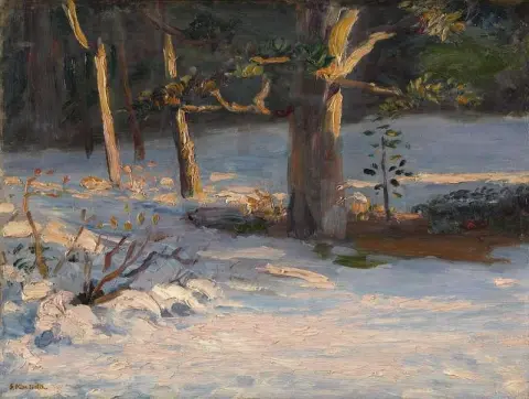 Vinterlandskap