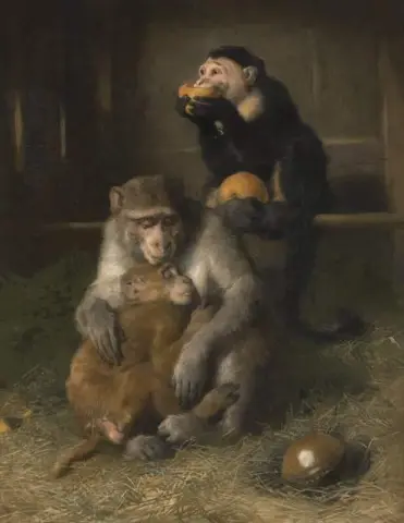 Lege S besøk til dårlige forhold i Zoologisk hage