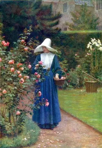 O dia da rosa