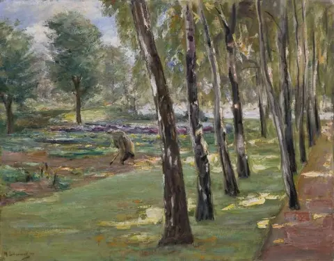 An Avenue Of Birch Trees In The Wannsee Garden A View Of A Cabbage Field
