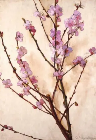 Peach Flowers