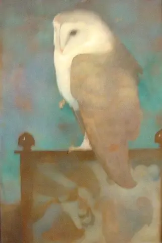 Gran búho en pantalla