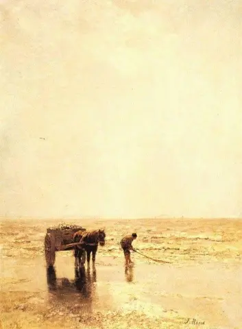 Raccolta di molluschi 1878-79