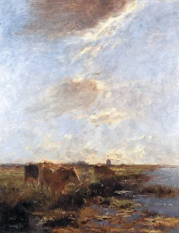 Mucche In Un Paesaggio Di Polder